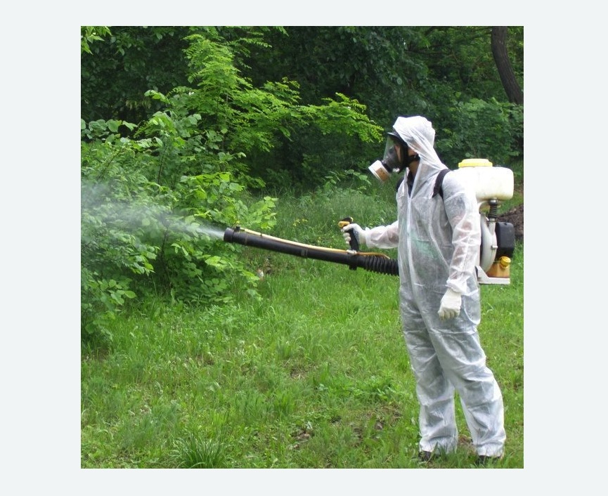 обработка территории от клещей в Богородицке