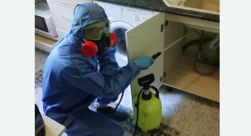 Уничтожение муравьев в квартире. Богородицк