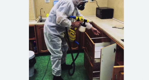 Уничтожение насекомых в квартире. Богородицк