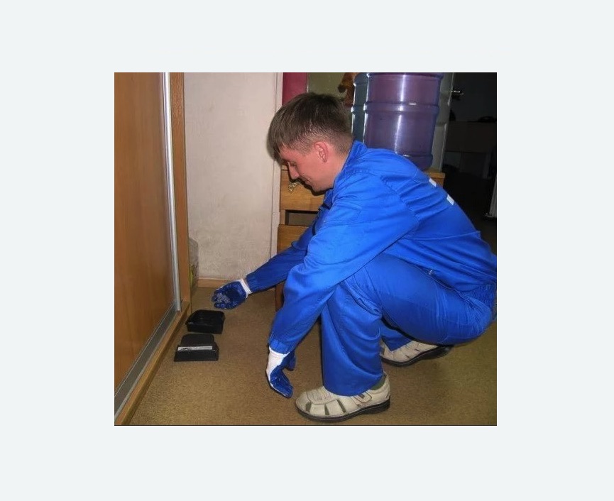 Дератизация крыс в Богородицке