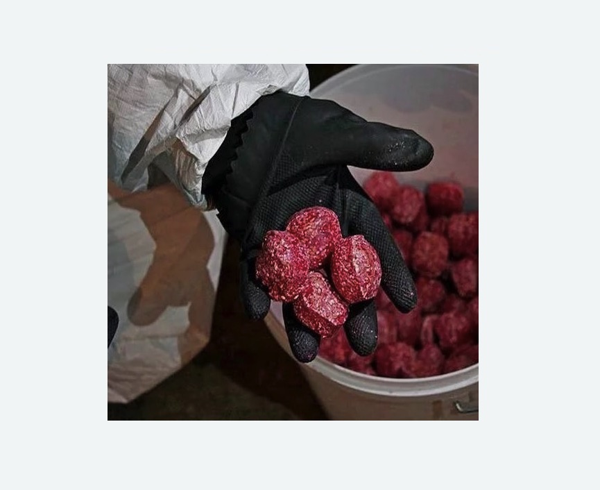 Обработка от крыс в Богородицке