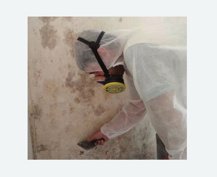 Обработка стен от плесени в Богородицке