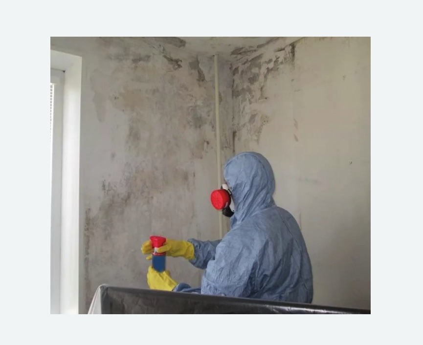 Удаление плесени в квартире в Богородицке