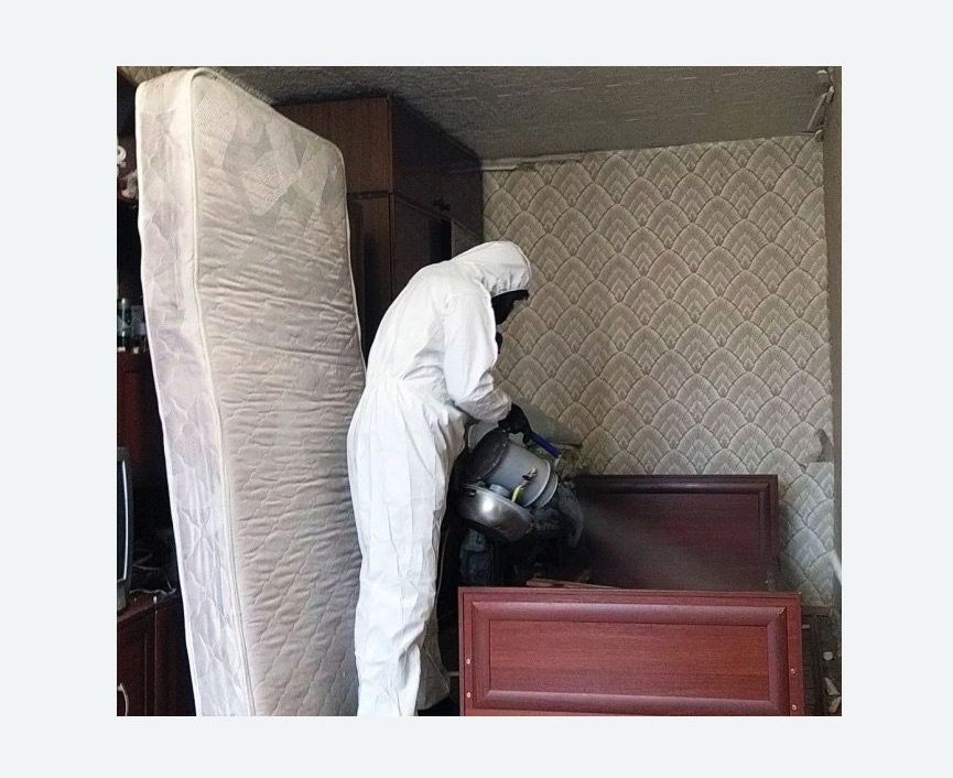 дезинфекция от клопов в Богородицке