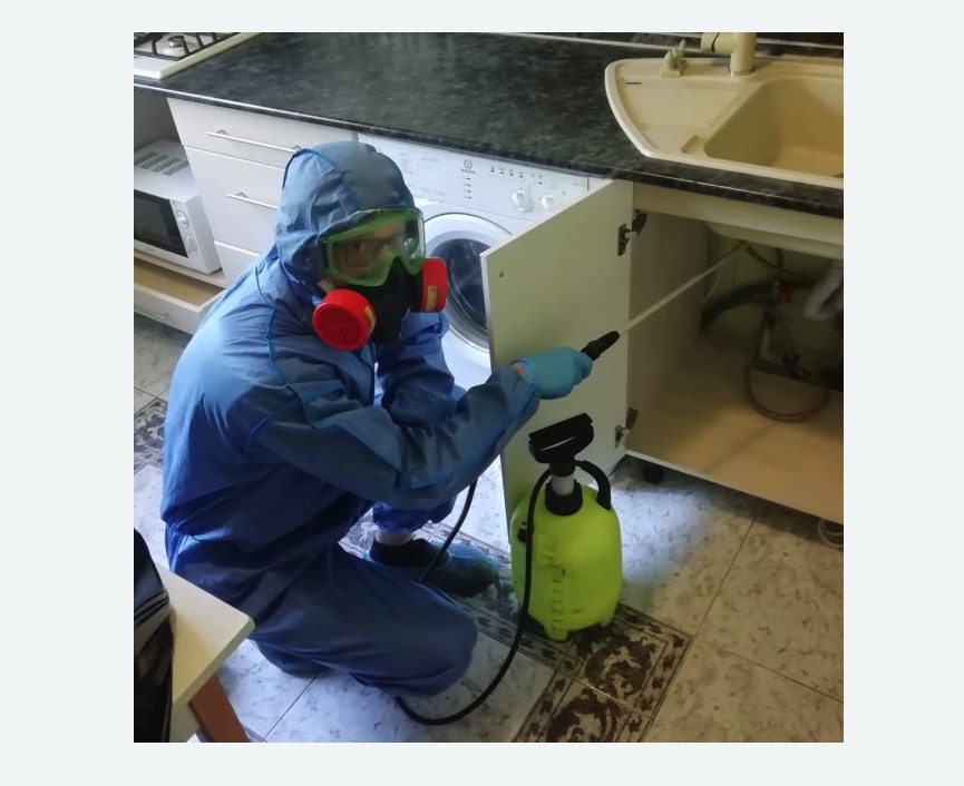 обработка от муравьев в квартире в Богородицке