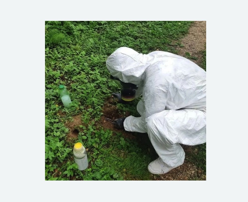 уничтожение кротов на участке в Богородицке