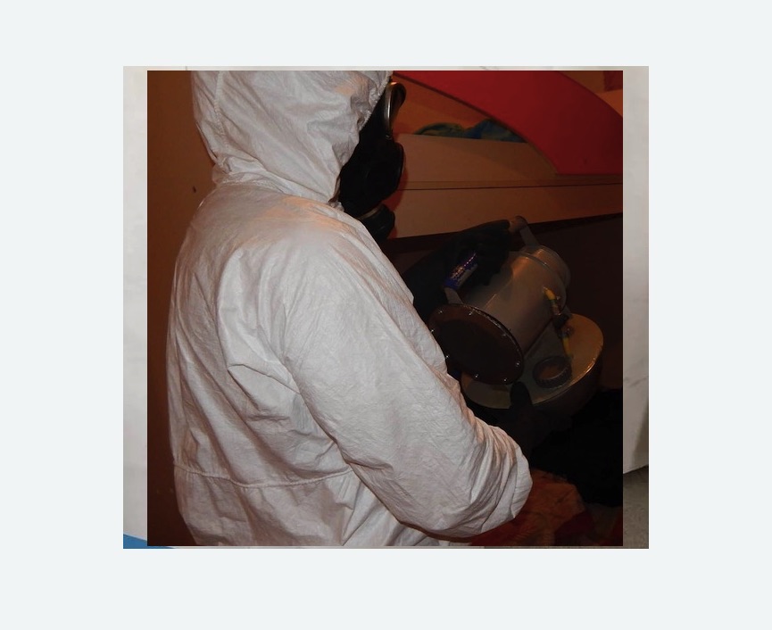 Дезинфекция от муравьев в Богородицке