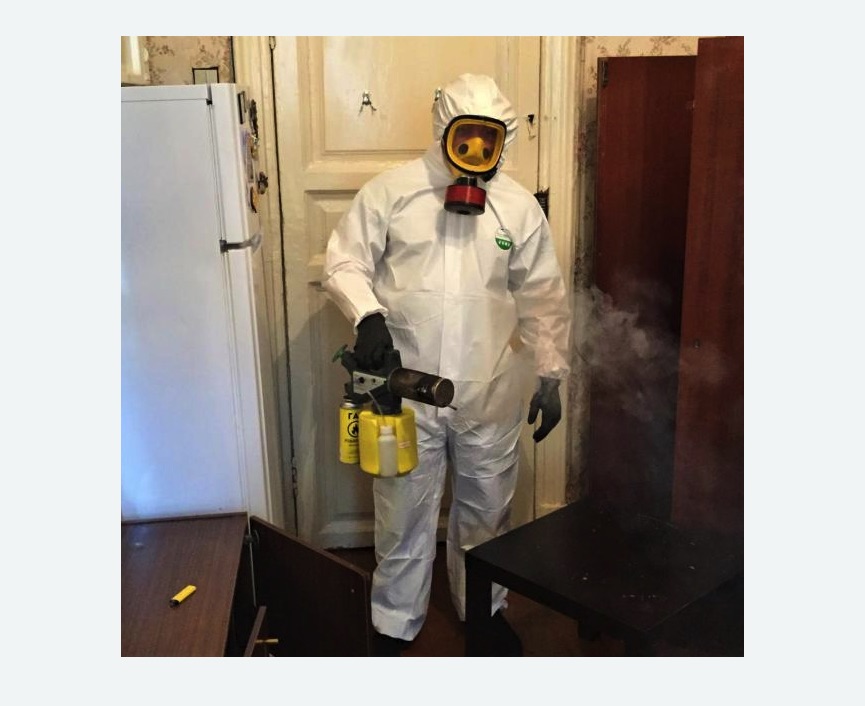 уничтожение муравьев в квартире в Богородицке